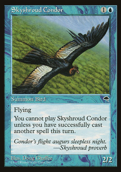 Skyshroud Condor